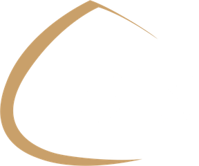 DIS