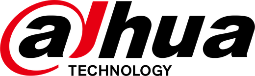 Dahua security